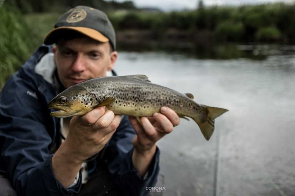 wędkarstwo skandynawia